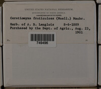 Image Associated With the Occurence